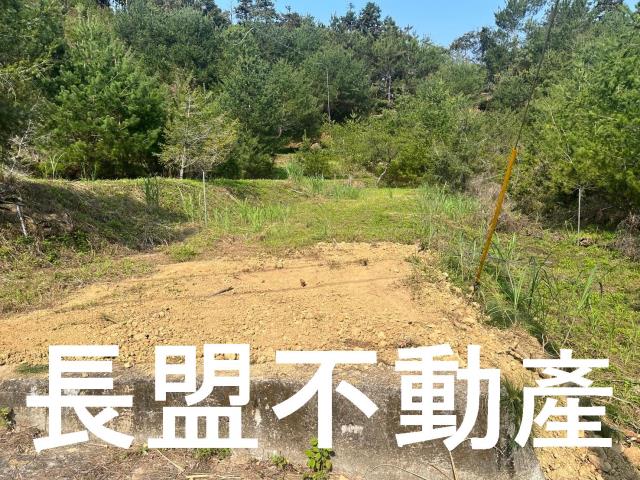 台中新社休閒地-1