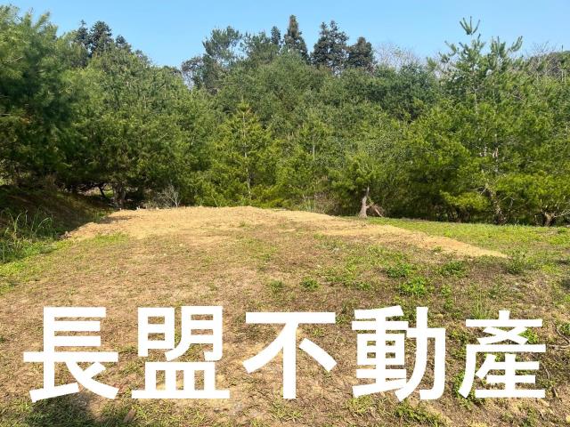 台中新社休閒地-2