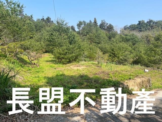 台中新社休閒地-5