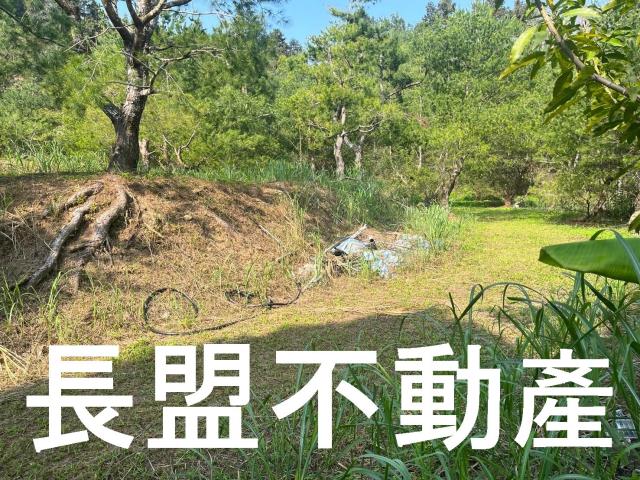 台中新社休閒地-9