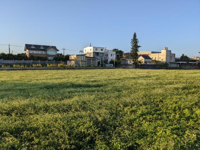 中壢農地-6