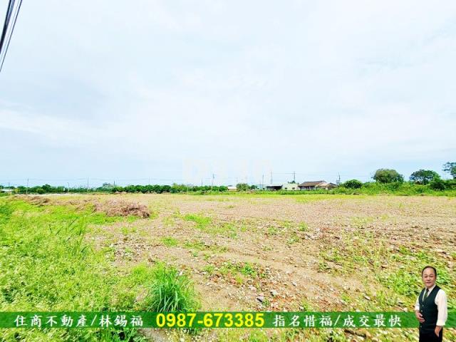 新市農地-4