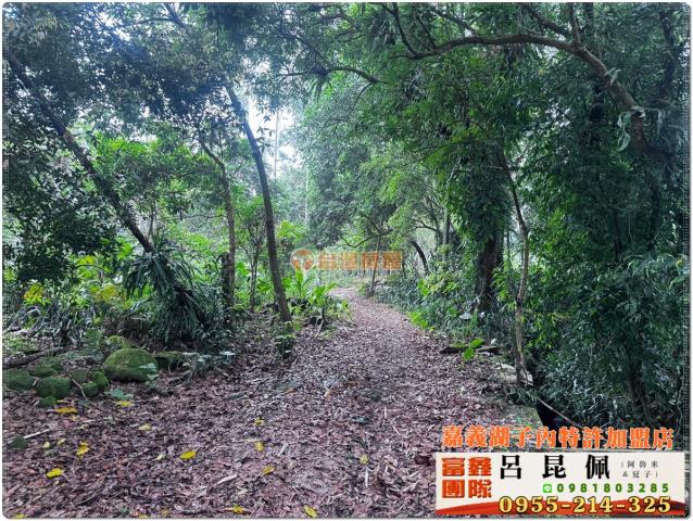 嘉義農地-2