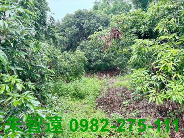 台南南化農地-10