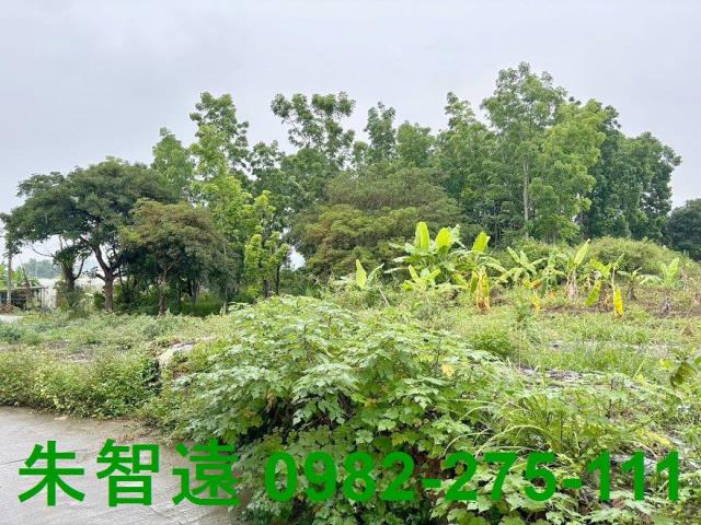 台南南化農地-6