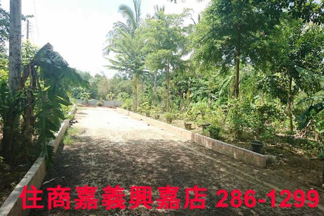 嘉義東區農地-11