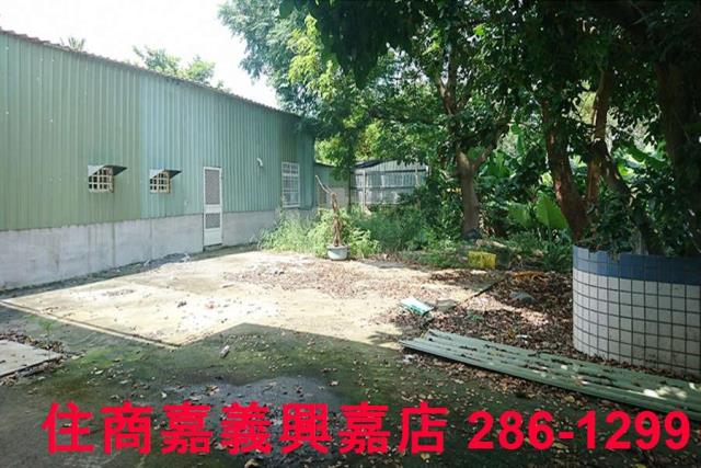 嘉義東區農地-7
