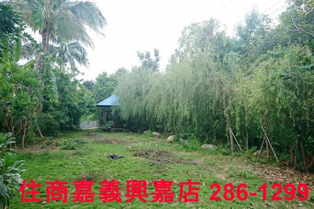嘉義東區農地-9