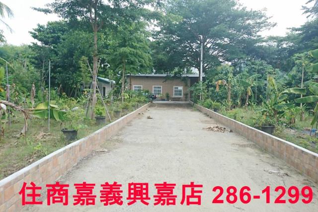 東區農地-2