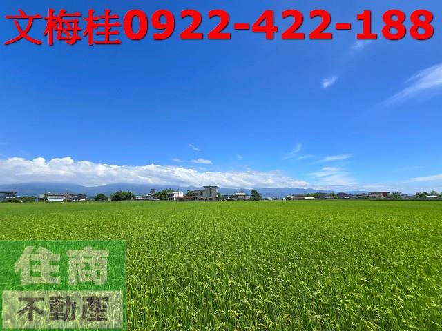 宜蘭壯圍農地-3