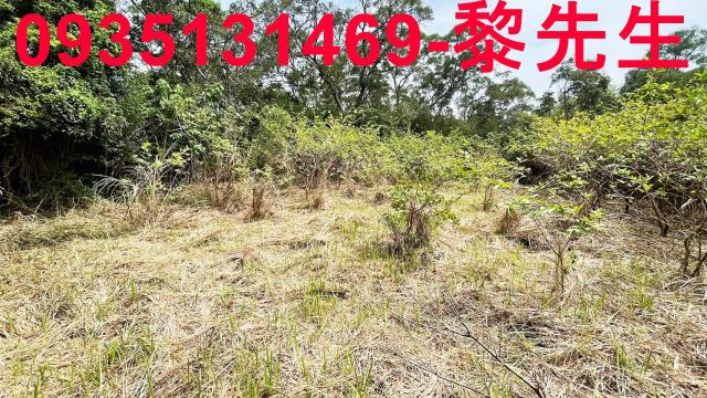 香山農地-5