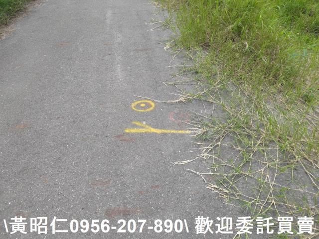 台南七股農地-4