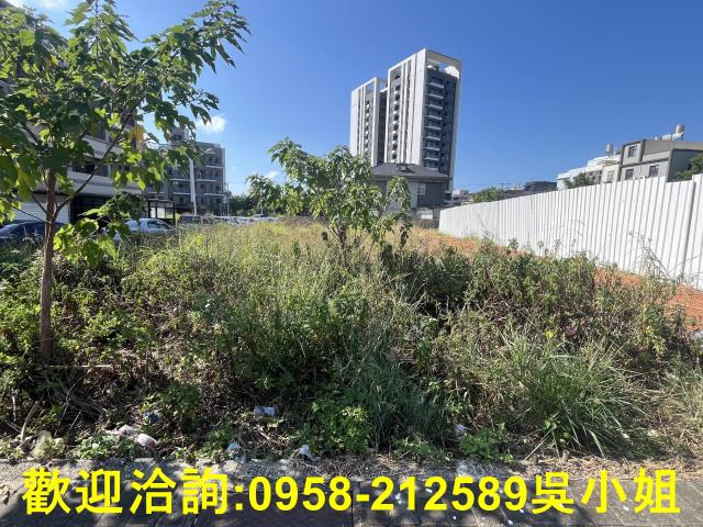 湖口建地-1