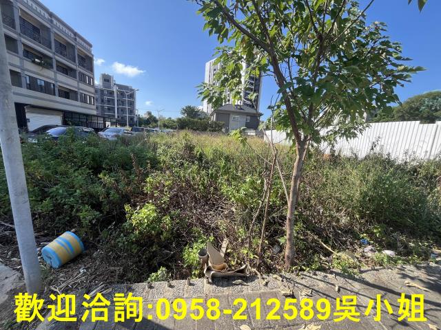 湖口建地-6