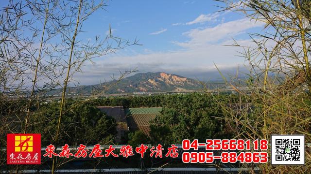 外埔農地-4