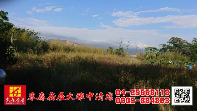 外埔農地-5