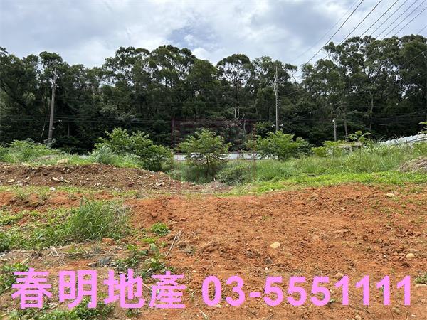 楊梅工業地-5