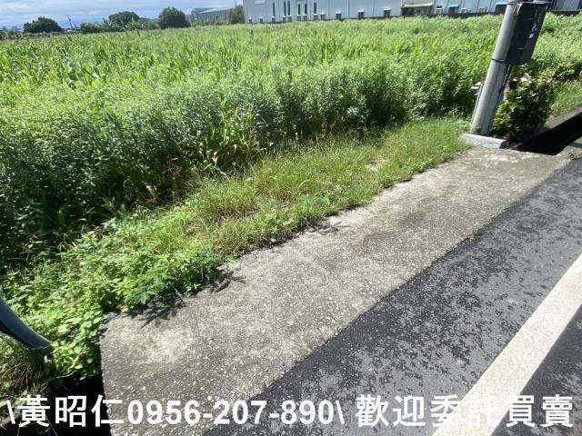 安定農地-12