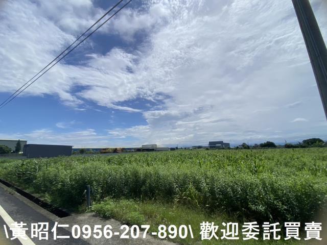 安定農地-4
