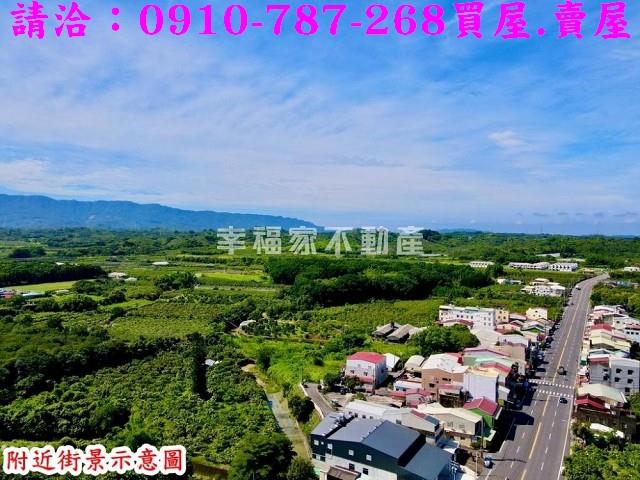 玉井農地-12