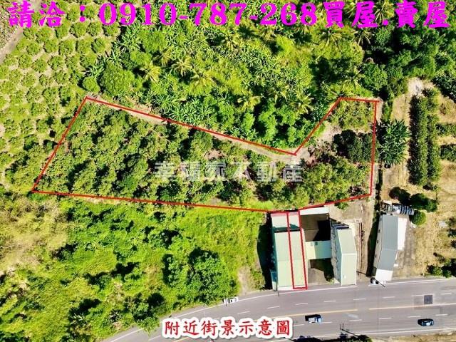 玉井農地-1