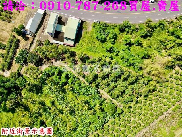玉井農地-3