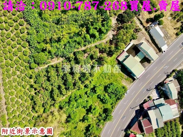 玉井農地-5
