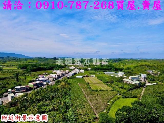 玉井農地-8