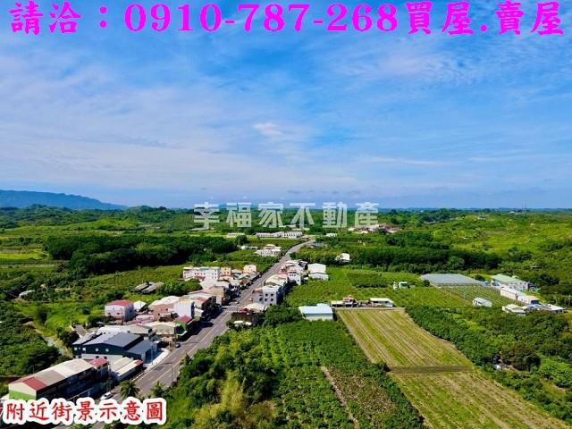 玉井農地-9