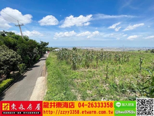 台中旱地-3