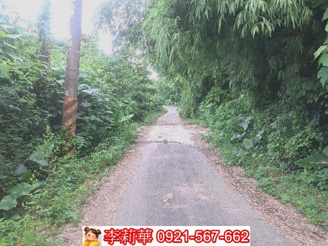 左鎮農地-5