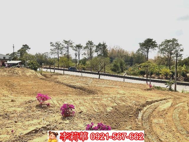 左鎮農地-6