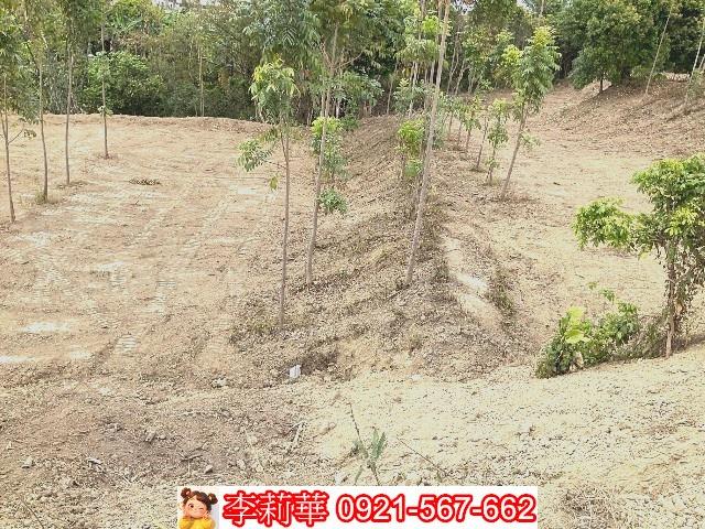 左鎮農地-8