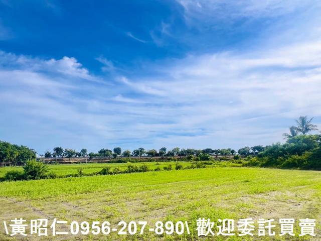 台南仁德農地-1