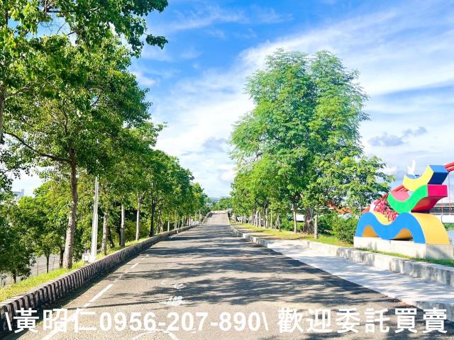 台南仁德農地-2