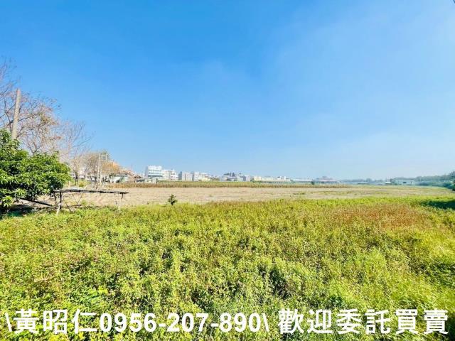 台南仁德農地-6