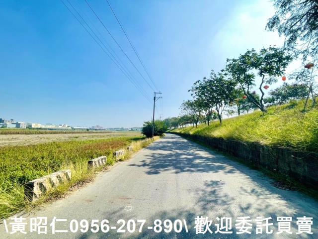 台南仁德農地-7