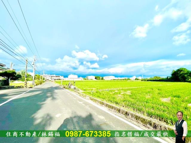 台南善化農地-2
