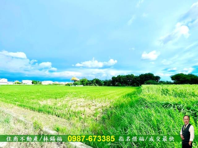 台南善化農地-8