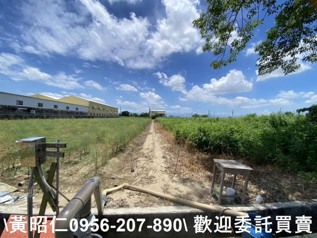 佳里農地-4