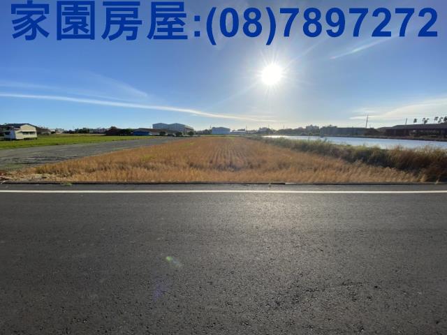 新園農地-2
