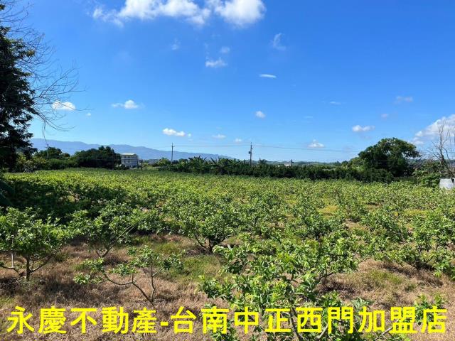 玉井農地-2