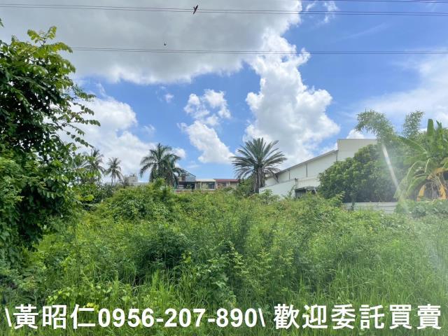 台南仁德農地-6
