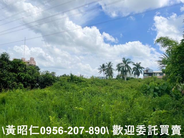 台南仁德農地-8