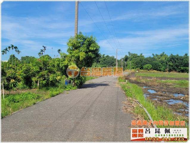 嘉義東區農地-3
