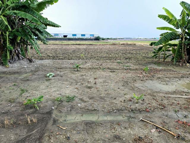 高雄農地-1