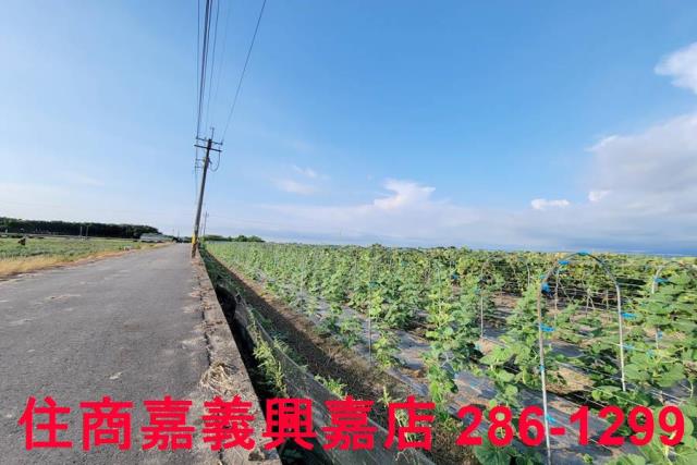 嘉義農地-2