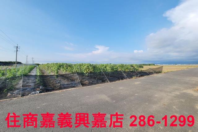嘉義農地-6