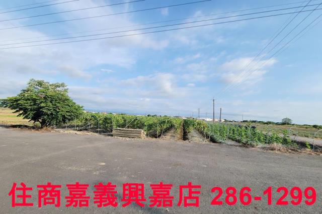 嘉義農地-9