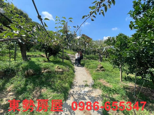 台中東勢農地-10